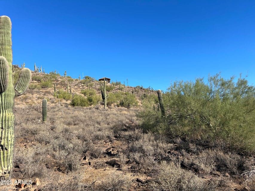 27xx W Maddock Road -, Phoenix, AZ 85086 — photo 1 of 6