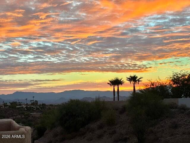 SUNRISE FROM THE PATIO! AND THE BOTANICAL GARDEN RIGHT ACROSS THE STREET!