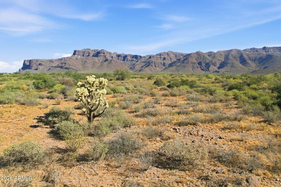 0 Graysen 4, Gold Canyon, AZ 85118 — photo 1 of 62