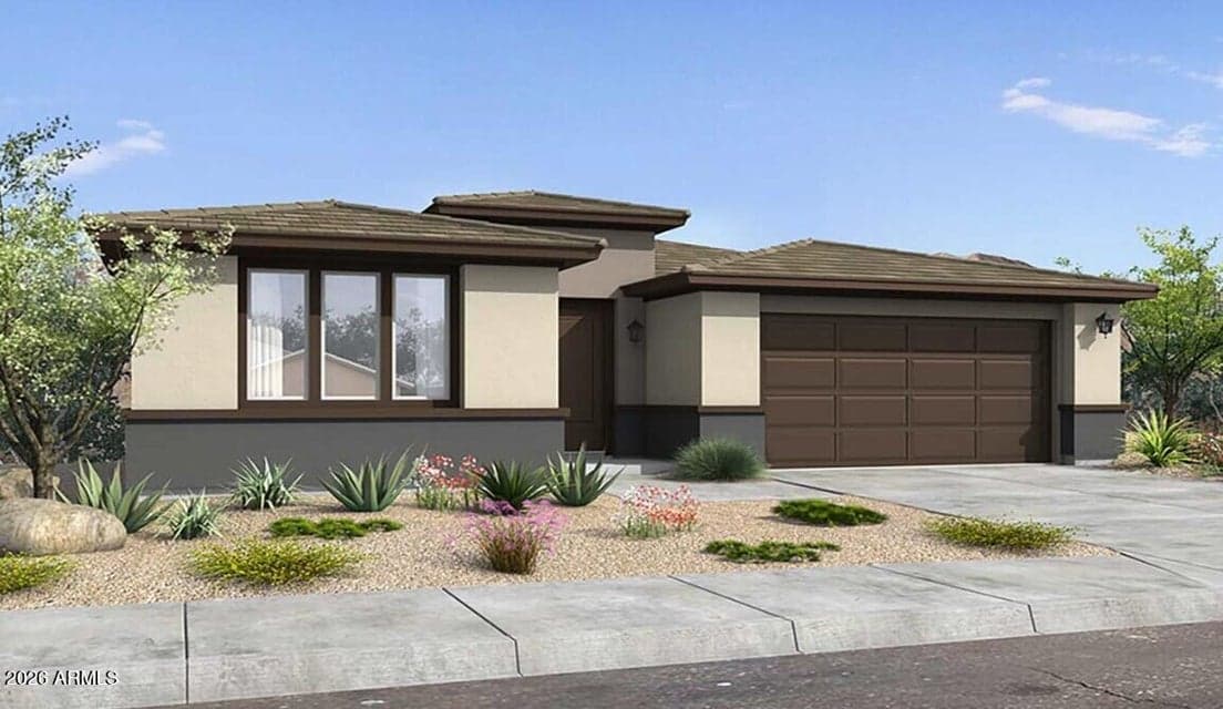 Kaibab Rendering