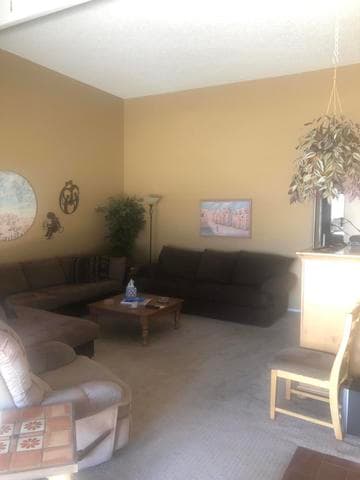 1149 E Sandpiper Drive #214, Tempe, AZ