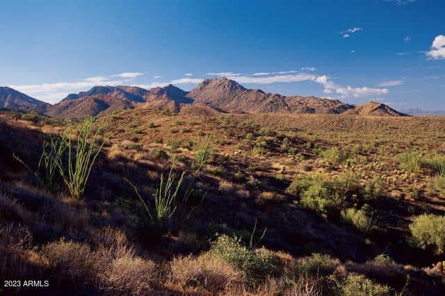 14433 E DESERT TORTOISE Trail #24, Fountain Hills, AZ