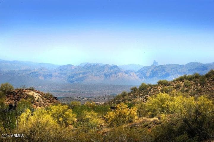 14317 E MOURNING DOVE Drive #86, Fountain Hills, AZ
