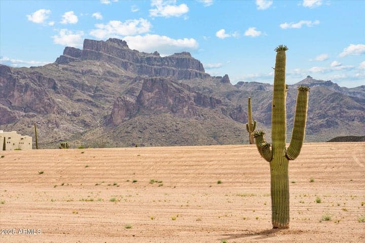0 S Roadrunner Road #D, Apache Junction, AZ