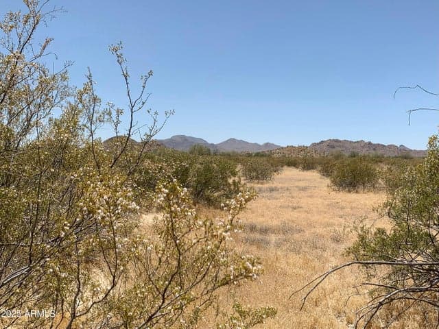 0001 W Whirly Bird Lot 4 Road #-, Maricopa, AZ