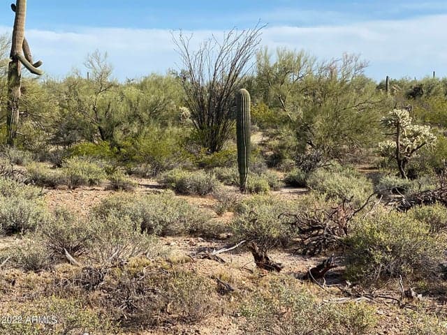 0 N Hexcel Road #A, Florence, AZ