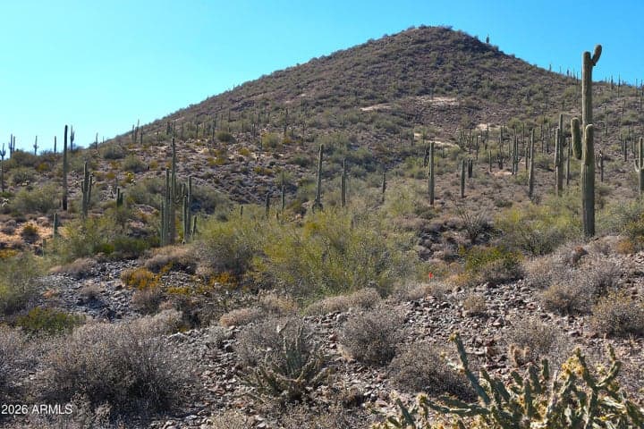 7XXX N 80th Street #'-', Cave Creek, AZ