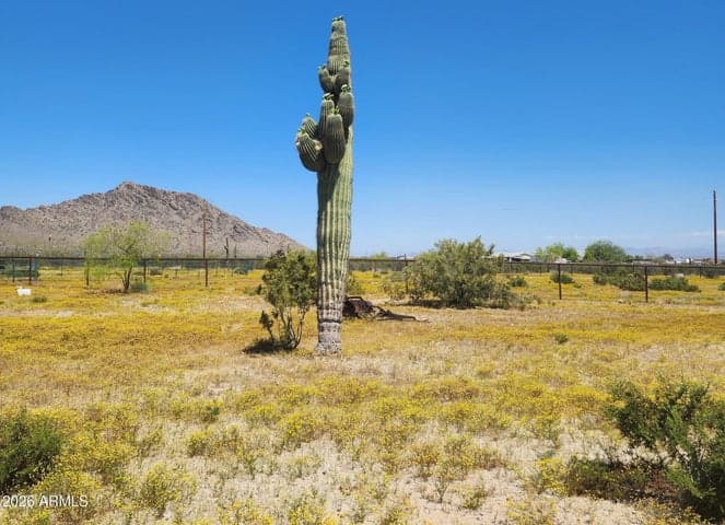31773 N THOMPSON Road, Queen Creek, AZ