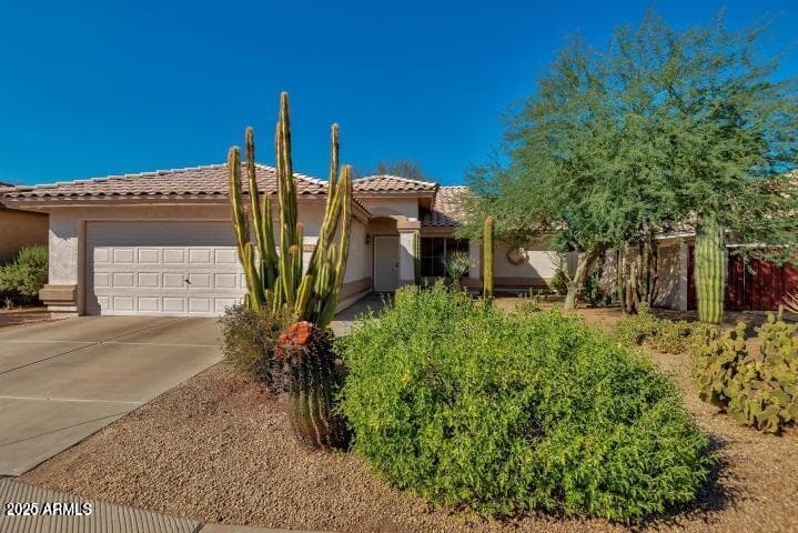 1712 W SPARROW Drive, Chandler, AZ