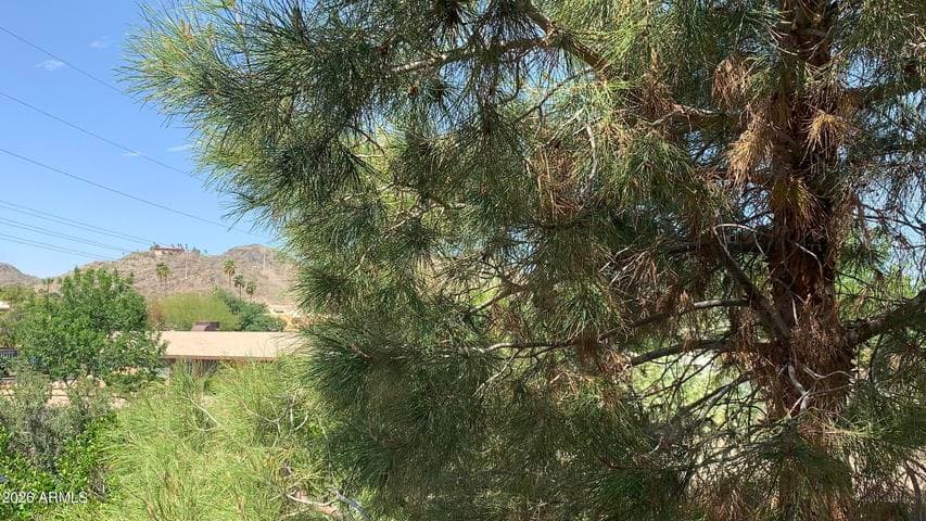 10410 N CAVE CREEK Road #2100, Phoenix, AZ
