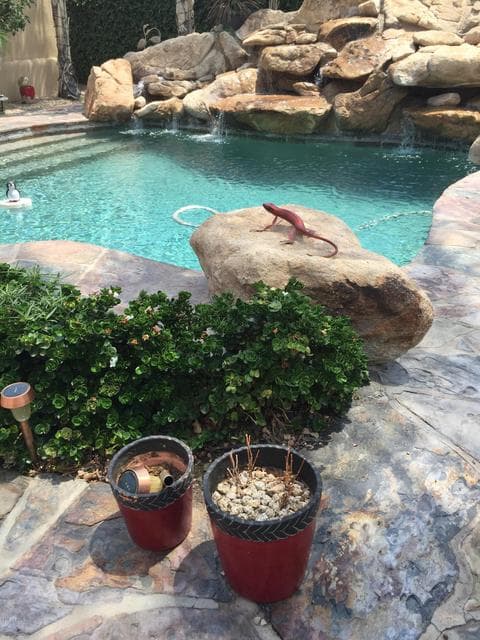10100 N 78TH Place, Scottsdale, AZ 85258 — photo 1 of 119