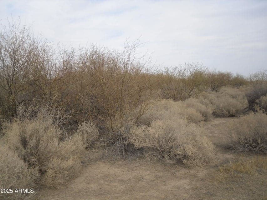 0 S Undetermined Road -, Goodyear, AZ 85395 — photo 1 of 12