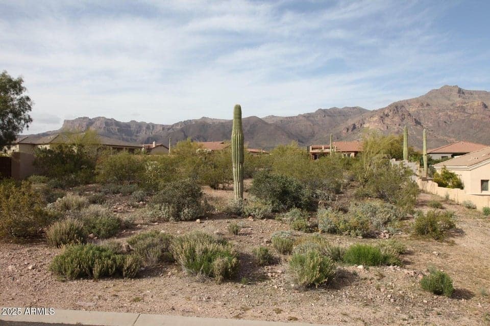 10584 E WALKING STICK Way 4, Gold Canyon, AZ 85118 — photo 1 of 9