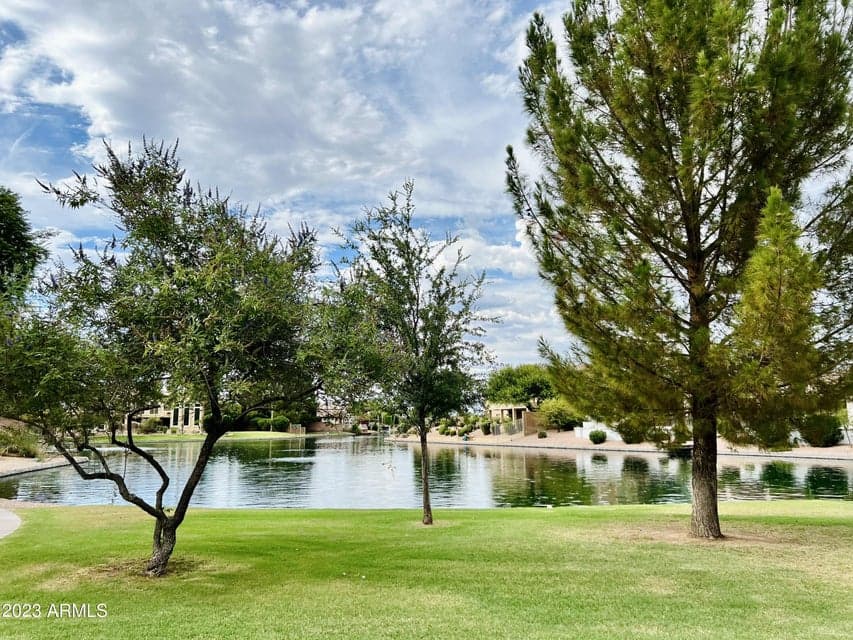 492 E RAINBOW Drive, Chandler, AZ 85249 — photo 1 of 57
