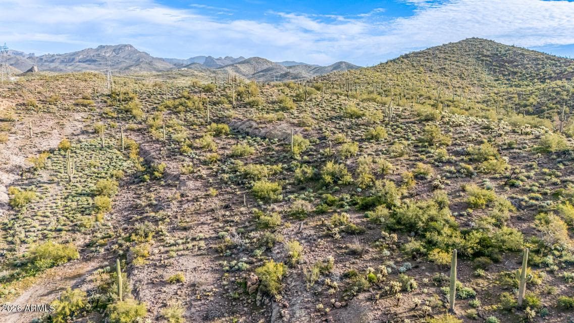 74 E ELEPHANT BUTTE Road 5, Gold Canyon, AZ 85118 — photo 1 of 20