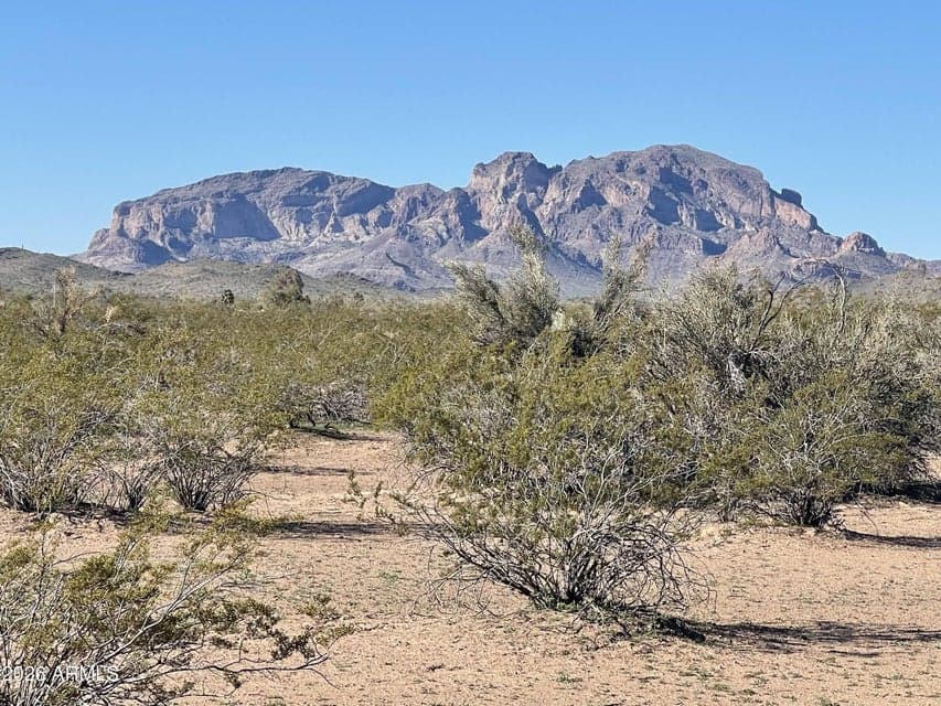 Saddle Mountain Ranch. Tonopah, Arizona, 418th Avenue and Palm Lane. WendyGutierrez.com