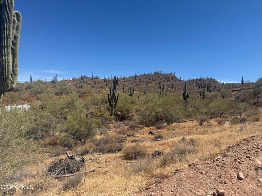 1913 E Mariola -, Phoenix, AZ 85086 — photo 1 of 4