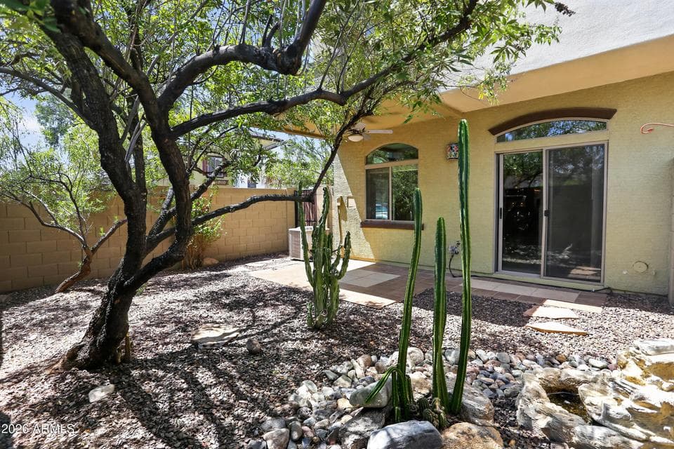 Zen Backyard