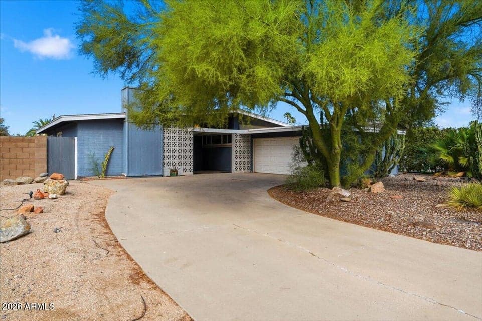 Mid Century Modern Design