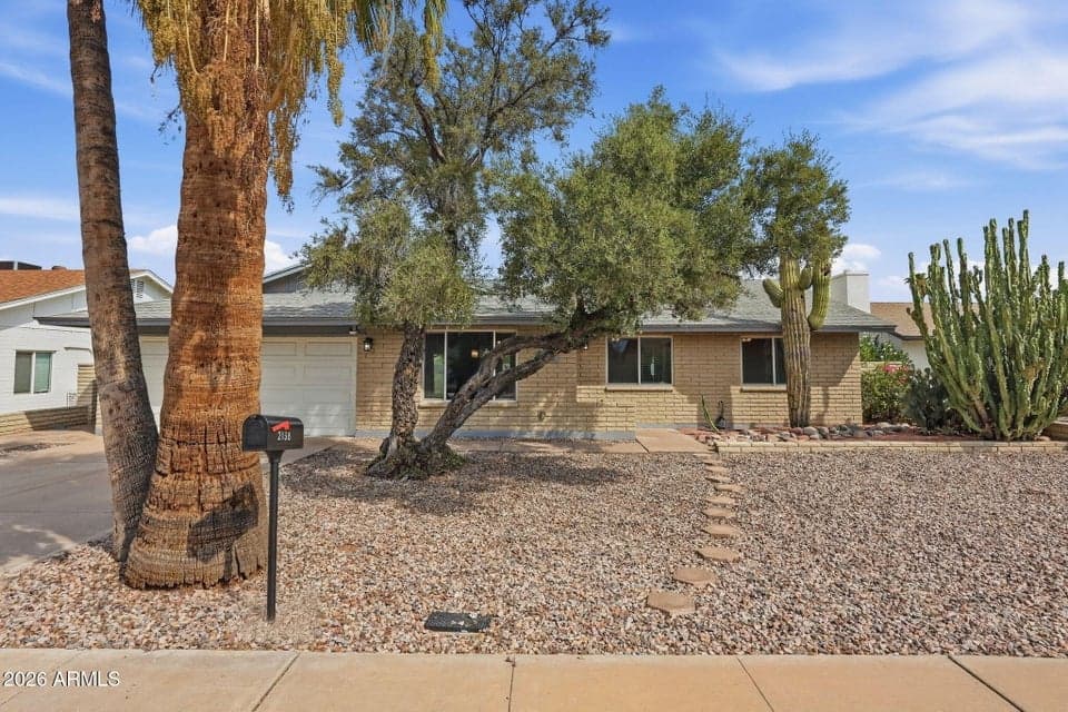 Located in the heat of Tempe - Optimist Park
