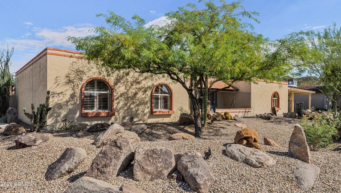 Desert landscaping brings beauty with easy upkeep.