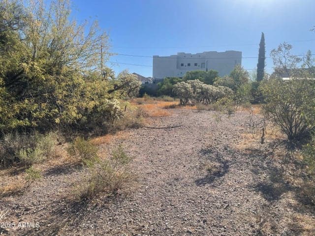 6039 S ALAMEDA Road #166, Gold Canyon, AZ