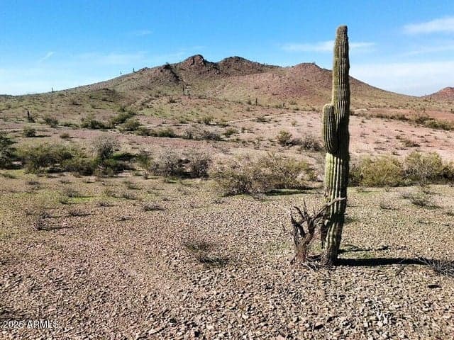 0000 W Cambridge Avenue #506-33-565F, Tonopah, AZ