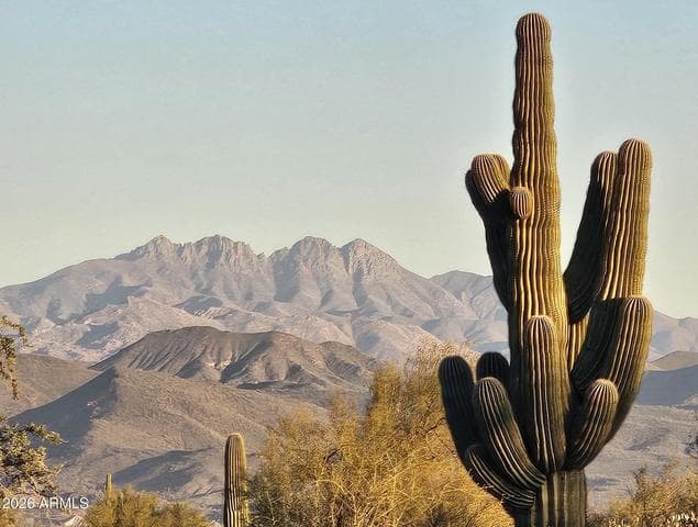 32XXX N 162ND Street #F, Scottsdale, AZ