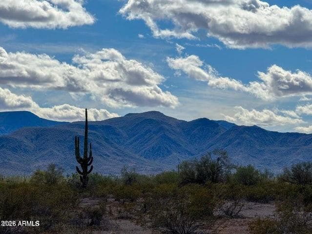 0 E Almendra Rd Lot E 1.67 Acres -- #-, Maricopa, AZ