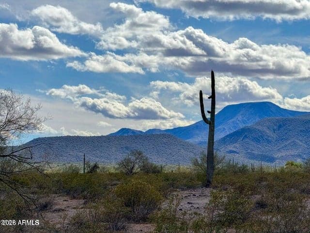 0 E Almendra Rd Lot B 1.67 Acres -- #-, Maricopa, AZ